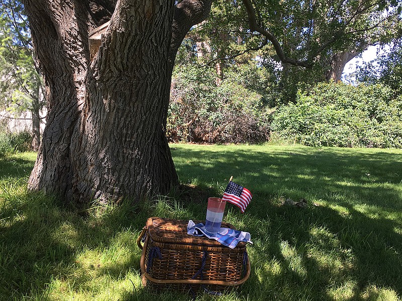 My neighbor's mulberry tree has shaded generations of friends and families over the years, a favorite place during Fourth of July celebrations. (Lucy Luginbill/Tri-City Herald/TNS)