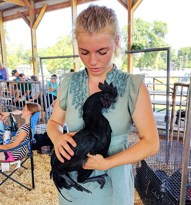 With day-old Ayam Cemani chicks going at $200 a pop, the rare, all-black breed truly rules the roost. Savanna Bilyeu, 15, is working to perfect her flock and save up for her own goats.