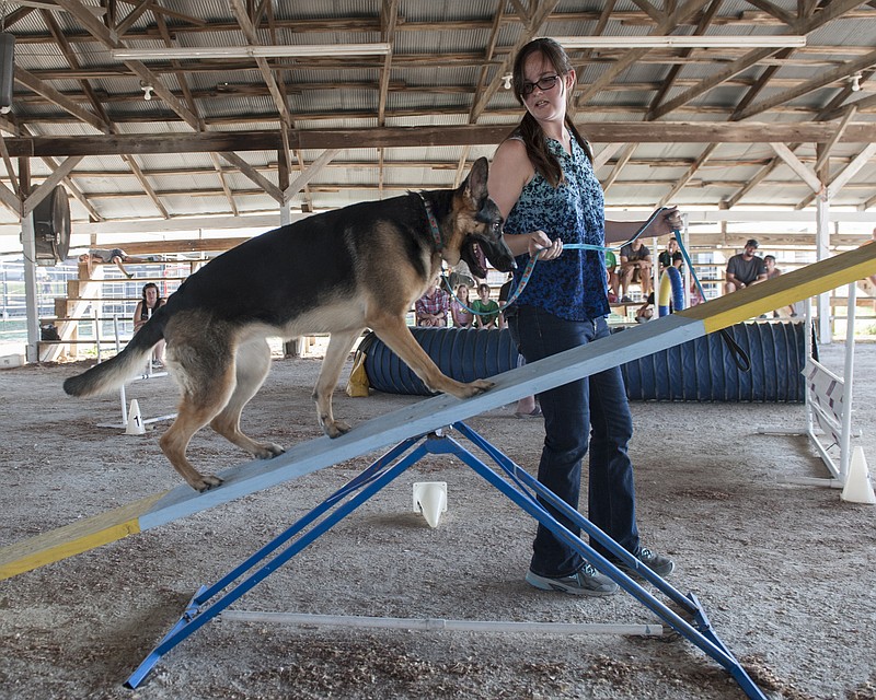 Stephanie Sidoti/News Tribune
Lana Lierheimer leads Nyx, a one-and-a-half year-old German Shepard, over the teeter-totter obstacle during the Obstacles Class in the Cole County Fair Dog Show held at the Jefferson City Jaycees Fairgrounds on Saturday, August 4, 2018.