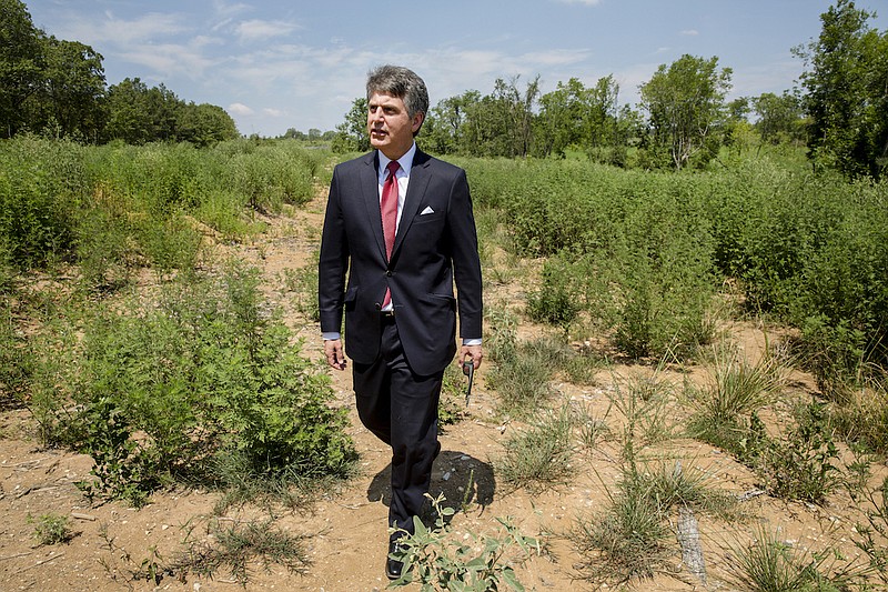 n this July 25, 2018, photo, Stephen Bell, president and CEO of the Arkadelphia Area Chamber of Commerce, shows parts of the 900-acre site of what he hopes will be a new paper mill, one of several Chinese-backed deals Arkansas has landed in recent years, in Arkadelphia, Ark. State and local officials in Arkansas are scrambling to preserve development deals with Chinese companies amid President Donald Trump's escalating tariff battle. (Karen E. Segrave)