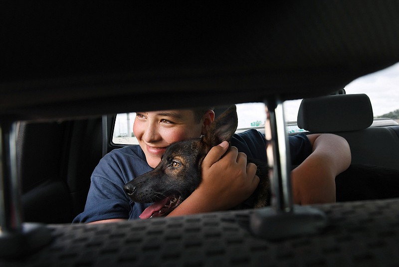 Kyle rides in his family's truck with his new service dog, Bruce, after picking up the dog in April. (Washington Post photo by Matt McClain.)