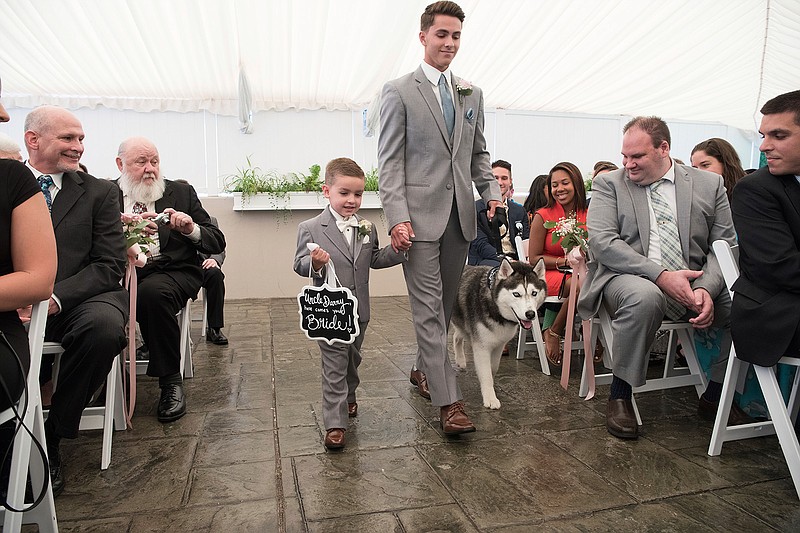 In a Sunday, July 8, 2-18 photo, UConn mascot Jonathan XIV, center right, walks down the aisle with ring bearer Evan Bronko, 4, and Spencer Korona, 17, during the wedding of Daniel and Holly Bronko in Simsbury, Connecticut on Sunday, July 8. The Siberian Husky, who helped Daniel Bronko propose last year, served as an assistant ring bearer, carrying the rings down the aisle on his collar. (Joanne Vandal via AP)
