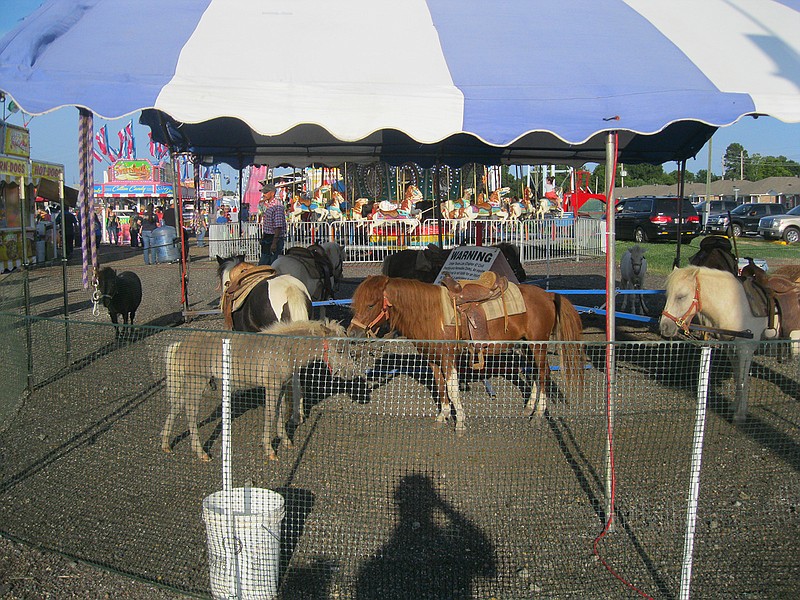 Live pony rides added some real life flair to New Boston's 48th annual Pioneer Days Festival. Children had the chance to take in authentic livestock rides as well as artificial carnival equines.