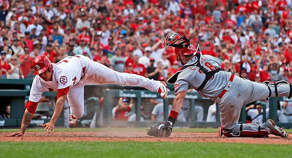 Yairo Munoz of the Cardinals is forced out at home by Reds catcher Curt Casali during the ninth inning of Sunday afternoon;s game at Busch Stadium.