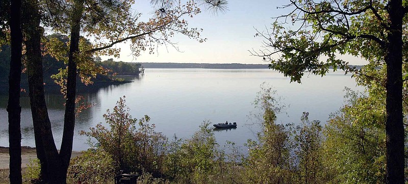 Atlanta State Park hosts an easy, 1-mile guided hike through the forest starting at 9 p.m. today at the Volksmarch Trail. (Photo courtesy Texas Parks & Wildlife)
