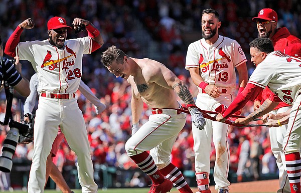 The Cardinals celebrated Tyler O'Neill's walk-off home run by ripping his  shirt off