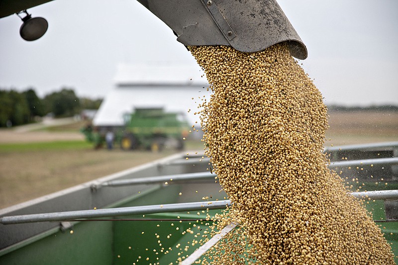 Soybeans are loaded into a grain cart during harvest in Wyanet, Ill., on Sept. 18, 2018. MUST CREDIT: Bloomberg photo by Daniel Acker.