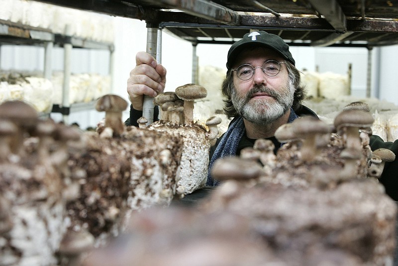Paul Stamets, a renowned expert on mushrooms, nurtures fungi near his home in Shelton, Wash., in a 2010 file image. (John Lok/Seattle Times/TNS)