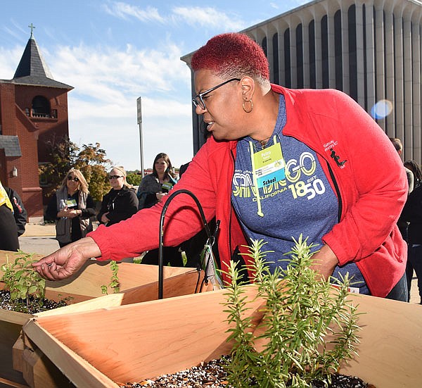 Petra Baker, of St. Louis, reaches for a mint leaf in the planter outside of Missouri River Regional Library. The High Street Harvest boxes were one stop in the downtown tour for participants from around the state for the Healthy Schools Healthy Communities conference. 