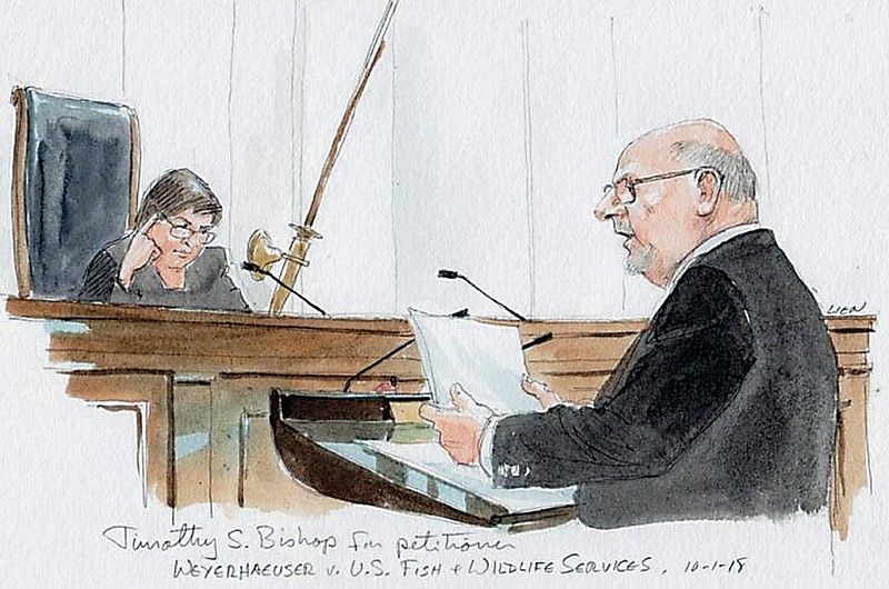Weyerhaeuser attorney Timothy S. Bishop, right, is seen in a government sketch Oct. 1 arguing his client's case against the U.S. Fish and Wildlife Service before Associate Justice Elena Kagan, left, and the United States Supreme Court.