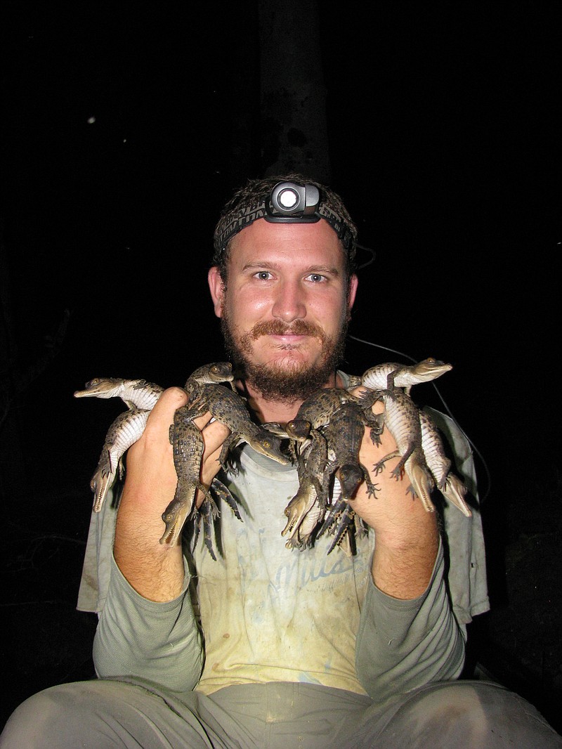 Florida International University crocodile expert Matthew Shirley poses with juvenile Central African slender-snouted crocodiles. (Courtesy Florida International University)