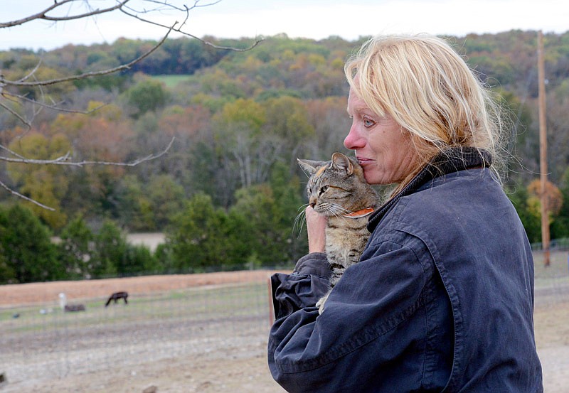 Cindy Brenneke, owner of Where Pigs Fly Farm and Pigs Aloft Museum, holds a female tabby she calls Bratty Cat on Thursday October 25, 2018 at the Where Pigs Fly Farm in Linn. Bratty Cat arrived at Cindy's farm after her owner passed away six months ago. However, guests will no longer be allowed to view, cats, dogs and all other non-farm animals by Dec. 9 as part of her agreement to comply with Missouri Department of Agriculture regulations.  