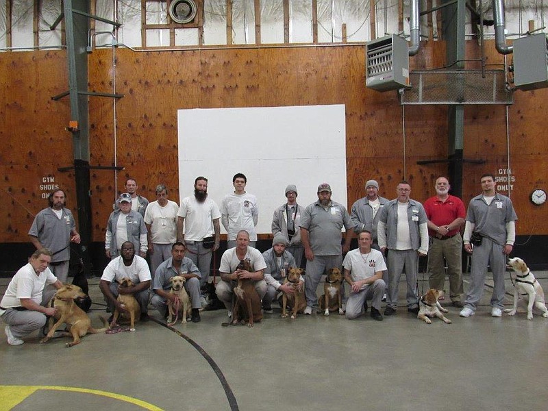 <p>Democrat photo/Liz Morales</p><p>A host of happy pups pose with their trainers Oct. 25 as part of the Puppies for Parole program at Tipton Correctional Center</p>