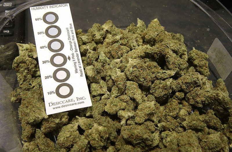 In this Wednesday, Oct. 17, 2018 photo a humidity indicator rests in a bowl of a strain of cannabis called "Walker Kush" at New England Treatment Access medical cannabis dispensary, in Northampton, Mass. The Walker Kush strain of cannabis is intended for legal recreational consumption once cannabis products can be sold legally in the state. Within days perhaps, the medical marijuana dispensary in Northampton expects to receive the final go-ahead to throw its doors open to anyone 21 or older who wants to purchase cannabis products ranging from flower to edibles, creams and even suppositories. (AP Photo/Steven Senne)