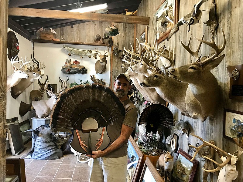 Frank Wagner of Schwarz Studio Taxidermy stands in his studio with a number of mounts he completed.