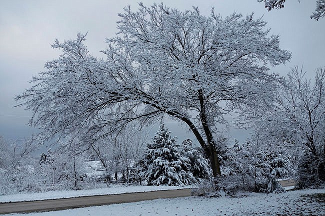 The first snow of the season came Thursday night into Friday, with 3 inches accululating in some areas. A record-breaking low of 17 degrees was predicted for Friday night.