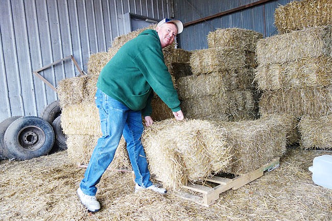 Darrel Wilmsmeyer, owner of Kingdom Feed, hefts a bale of straw. People can donate bales of straw to the Callaway County Humane Society for its Home for the Holidays program — which provides insulation for the kennels of outdoor dogs — by paying for a bale at Kingdom Feed and mentioning CCHS.