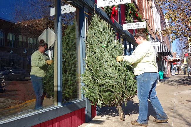 Caitlin Wentworth props up the first of many fresh Christmas trees her father Reuben hauled down from New Hampshire. She said that adequate water is the biggest key to keeping a live tree happy.