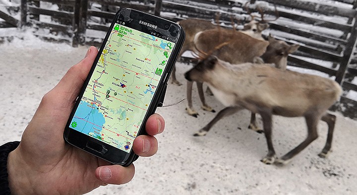 Reindeer herder Seppo Koivisto holds a smartphone, showing the mobile app used to locate reindeer in Finnish Lapland, in Rovaniemi, Finland, Thursday Dec. 13 2018.  To keep track of their animals in Lapland, Northern Finland's vast and remote snow-covered forests, reindeer herders are turning to technology by fitting them with internet-connected collars. (AP Photo/James Brooks)