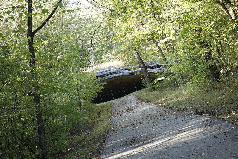 <p>Jenny Gray/For the News Tribune</p><p>An early October walk up to historic Graham Caves.</p>