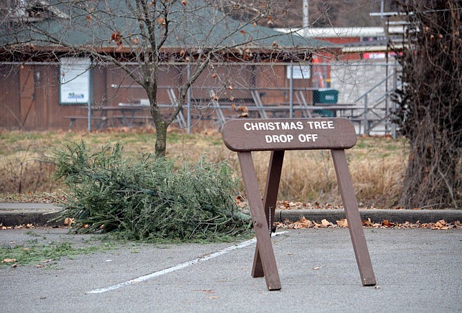 Christmas trees are piled together Wednesday between Washington Park Ice Arena and Vivion Field. Residents can drop off their natural Christmas trees at the location to be recycled by the Jefferson City Parks, Recreation and Forestry Department.