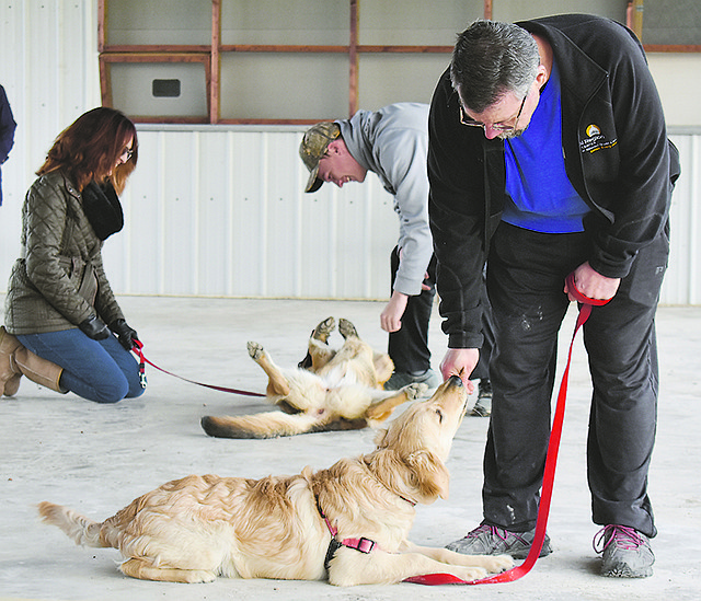 Tony Givliani works with Ollie, his 6-month-old golden retriever, during Sunday's Paw-Tastic Dog Training at the Jefferson City Jaycees Cole County Fairgrounds. In the background, Lori Fowler and her son, Dalton, work with their German shepherd, Nova. 