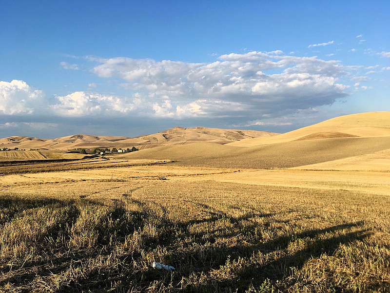 A late-afternoon Puglian landscape. Along with 12 other Messors participants, the author stayed in Gravina in Puglia, population approximately 44,000. (Photo for The Washington Post by Ben Yagoda)