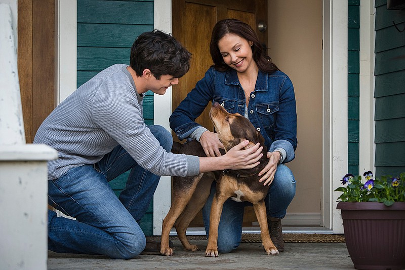 This image released by Sony Pictures shows Jonah Hauer King, left, and Ashley Judd, with dog Shelby, portraying Bella, in a scene from Columbia Pictures' "A Dog's Way Home. (James Dittiger/Columbia Pictures - Sony via AP)