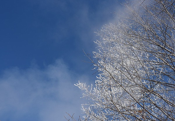 School closings, weather-related announcements for Friday, March 11, 2022 - Vimarsana News