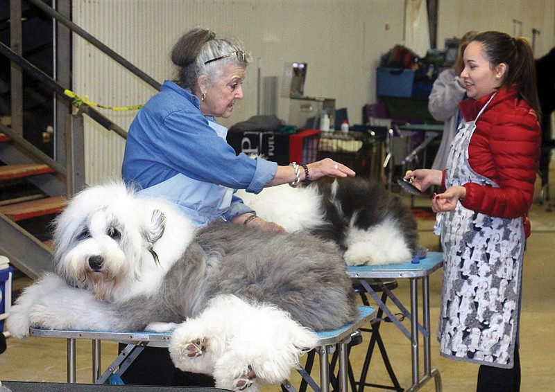 Enid Fritts talks to Genisse Onate while grooming 15-month-old Pond on Saturday during the annual AKC All-Breed Dog Show. (Photo by Stan Shavers)
