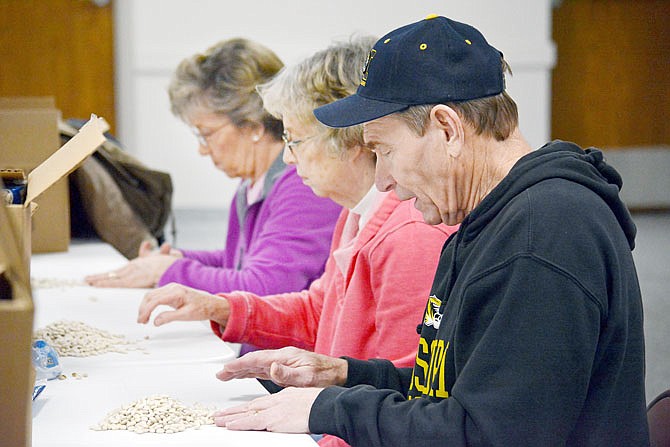 Lions Club members sort through piles of beans Tuesday, Feb. 5, 2019, to prepare for the Lions Club Ham & Bean and Chili Day at the St. Peter Church Selinger Center. Members sifted through more than 500 pounds of dry beans to take out any shriveled or broken beans and any small pebbles that can sometimes be found in bags.