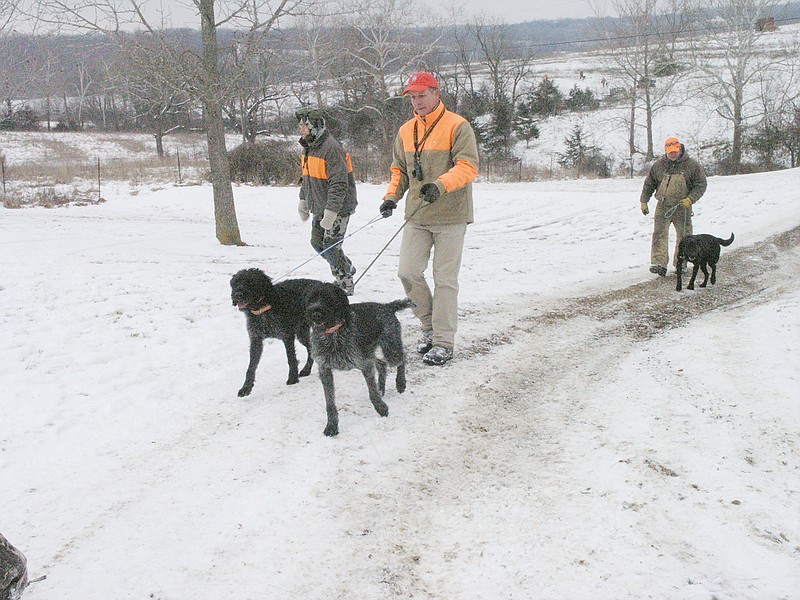 Members of the North American Hunting Dog Association come back with their dogs from hunting Sunday in Centertown. The annual Betchel & Henry Pheasant Hunt brings youth and mobility-impaired Missourians together.