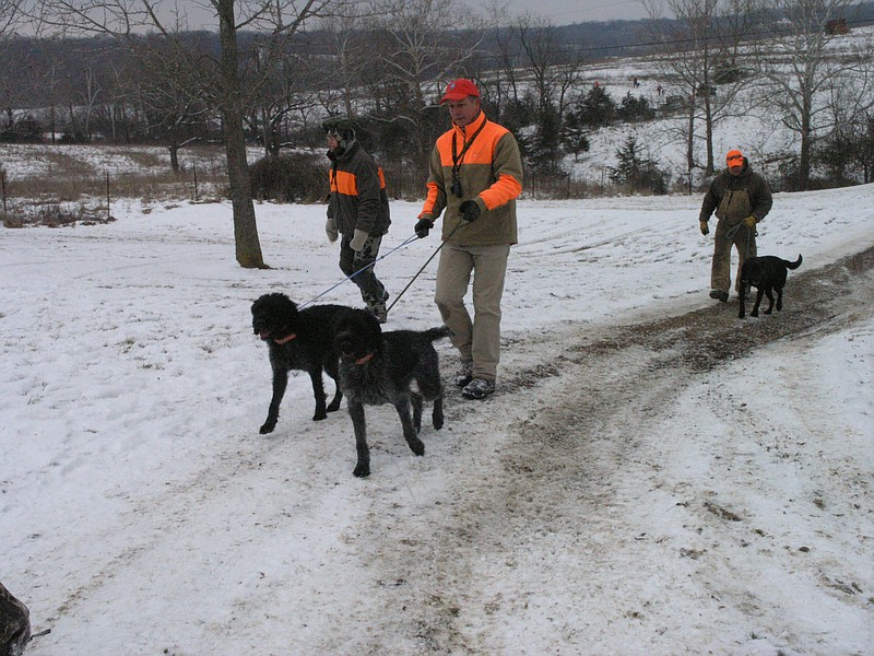 Members of the North American Hunting Dog Association come back from hunting with their dogs Feb. 17 in Centertown. The annual Betchel and Henry Pheasant Hunt brings youth and mobility-impaired Missourians together.