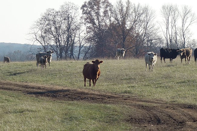 Farmers in Callaway County and Mid-Missouri had a hard time last summer cutting hay due to drought conditions and hot weather. This week, the state Department of Natural Resources published its 2018 drought report and gave it to the governor.