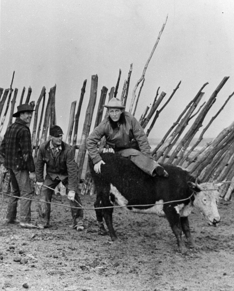 In this photo provided by the Northeast Nevada Historical Society and Museum Collection, late singer and movie star Bing Crosby clowns around with a cow on his ranch in Elko County, Nev., in 1945. Crosby was a frequent visitor to the area in the 1940s and 1950s. The Lawson Ranch he owned 45 miles north of Elko is on the market for $7.28 million. (Northeast Nevada Historical Society via AP)