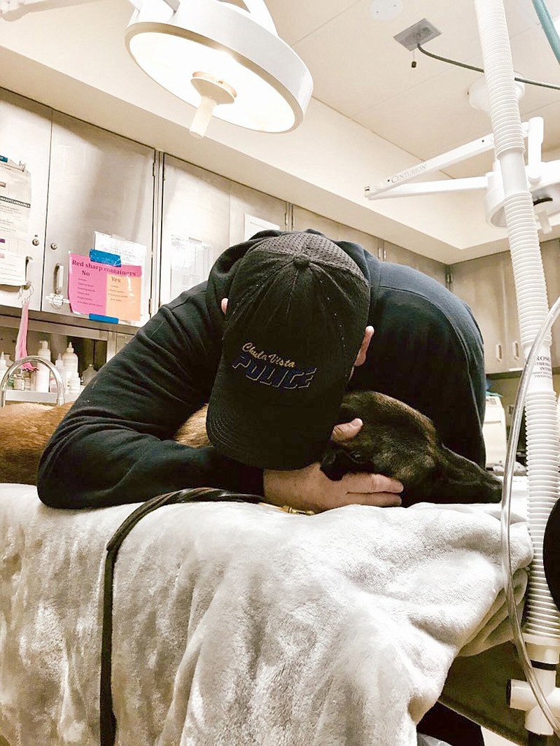 Chula Vista police dog handler Curtis Chancellor hugs his K-9 partner, in this photo tweeted out by the department on Sunday. A department spokesman said Griffen, a 7-year old Belgian Malinois, had a medical condition. (Chula Vista police Twitter account/TNS)