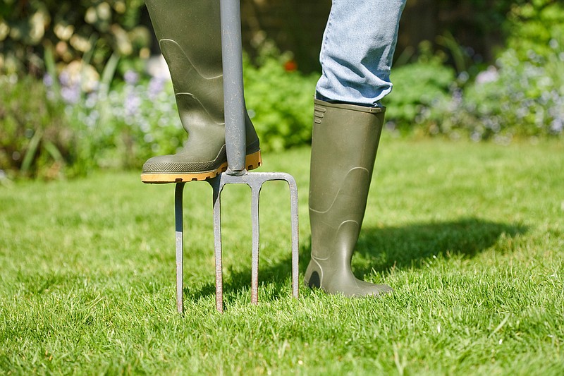 Any tool that creates slender, deep holes can help with lawn aeration, but a machine that removes soil plugs is the best option. (Dreamstime)