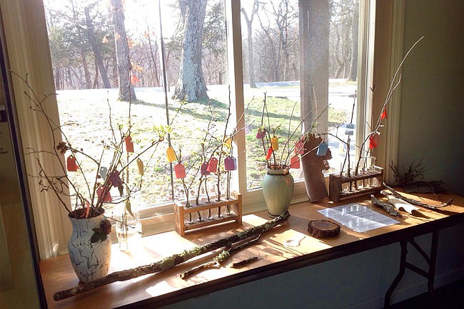 Branches on display at Graham Cave State Park's visitor center gaze longingly outdoors. April 20, the park will host an Arbor/Earth Day event with educational displays and a storybook hike. 