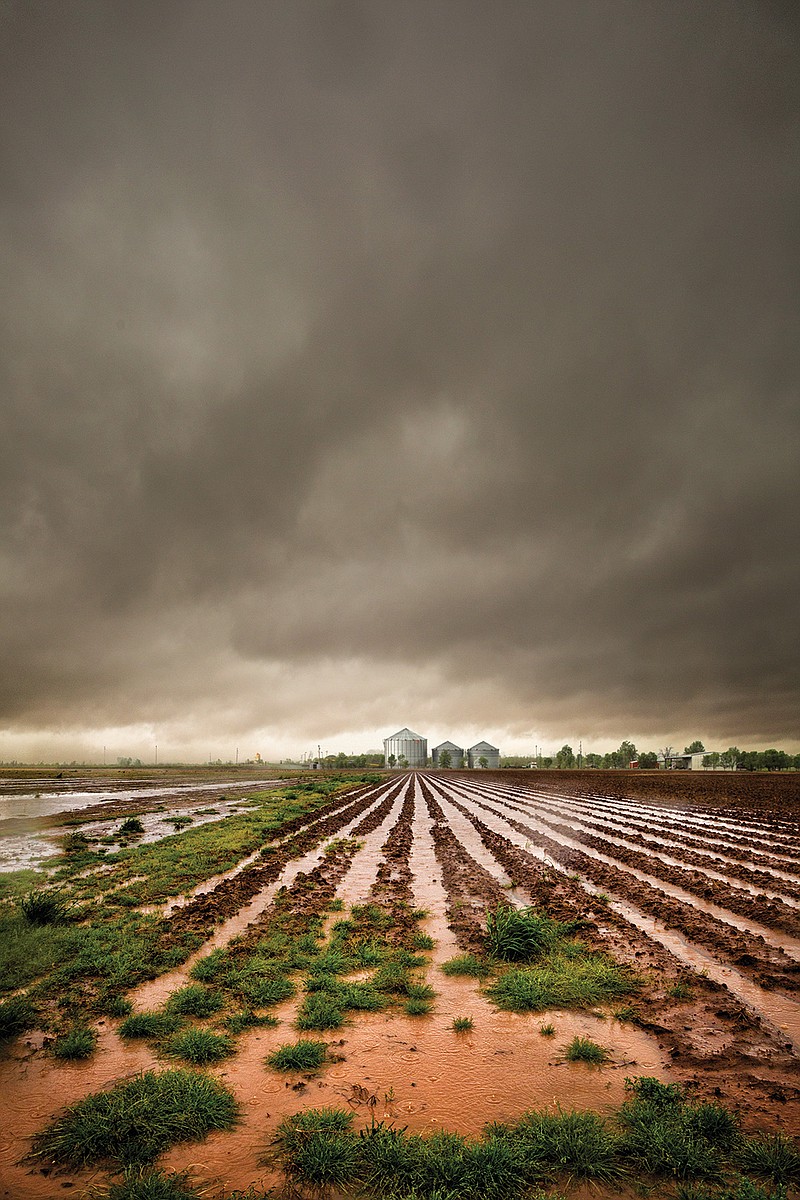 A storm approaches Saturday in Lafayette County, Ark. (Staff photo by Danielle Dupree)
