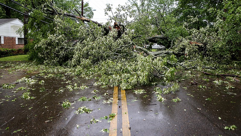  A tree landed on a power line causing power to go out in the neighborhood along Texas Boulevard. Power is expected to be restored by 8 p.m.