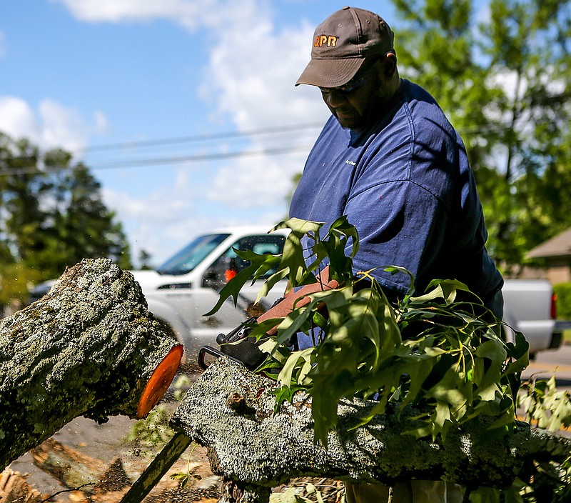 A worker from the city of Texarkana, Texas, cuts a fallen tree Friday near Texas Boulevard and 40th Street. Strong winds downed the tree, which crushed a fence and blocked a portion of Texas Boulevard. The lane was cleared around 6:30 p.m., said Shawn Vaughn, Texarkana, Texas, Police Department public information officer.