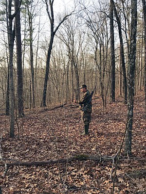 Walking ridge tops and calling for turkeys down below is a great way to locate gobblers.