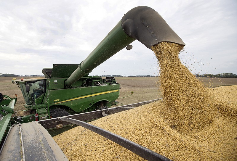 FILE - In this Sept. 21, 2018, file photo, Mike Starkey offloads soybeans from his combine as he harvests his crops in Brownsburg, Ind. The escalating trade war between the U.S. and China is causing anxiety among rural farmers and bankers. Upper Midwest soybean farmer Jamie Beyer says these are days of "a little bit of panic." Minnesota agriculture lender Kent Thiesse says most farmers were able to get financing for spring planting, but more federal aid might be needed to head off "serious losses" this fall. (AP Photo/Michael Conroy, File)
