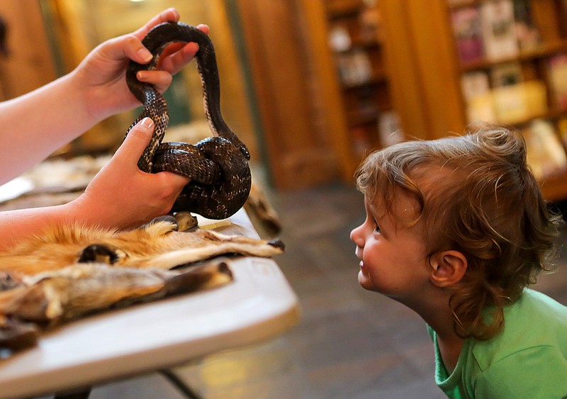  Lucy Josserand examines the face of a black rat snake, held by Arkansas State Parks representative Victoria Carson, on May 8 at the Arkansas Welcome Center in Texarkana.