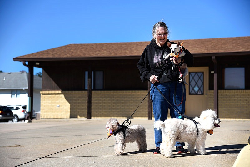 Donna Ponder holds her chihuahua Scooter Oct. 20, 2018, while walking her other two poodles, Gracie and Casper, at Westside Veterinary Clinic in Jefferson City. Ponder obtained all three of her dogs from animal shelters.