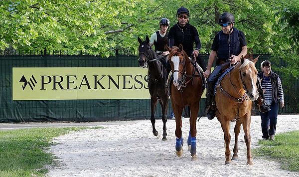Improbable is led back to the barn Friday after a training session for today's Preakness at Pimlico in Baltimore.