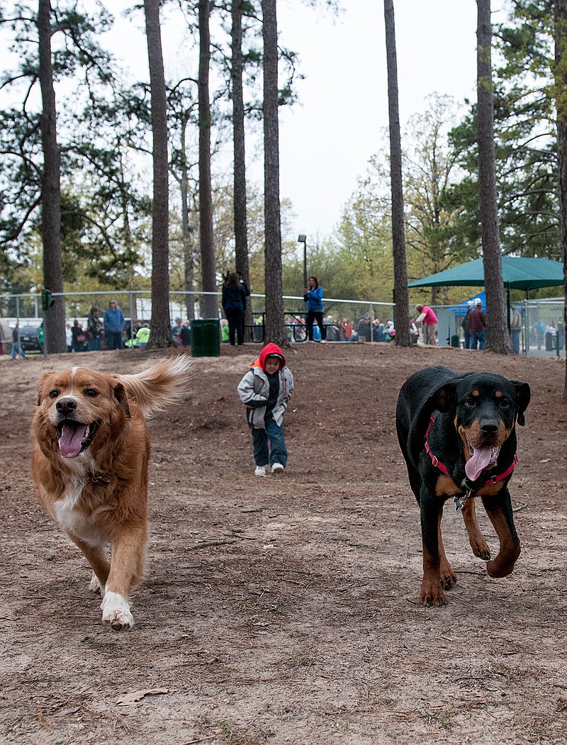 Two dogs quickly make friends in April  2014 at the grand opening ceremony of the Kylee Sullivan Dog Park at Spring Lake Park.