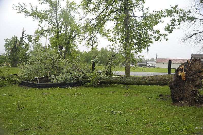 <p>Danisha Hogue/News Tribune</p><p>A tornado late Wednesday, May 22, 2019, uprooted trees uprooted at Rock Island Park in Eldon.</p>