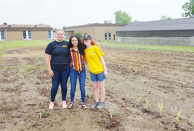 Jillian Duncan, left, Angelina Derry and Jordan Bonner stand in the garden they and their classmates have established at Fulton High School. The first fruit of their labors — a strawberry — is seen at lower left. Eventually, the club hopes to sell the garden's crops at the Fulton Farmer's Market.