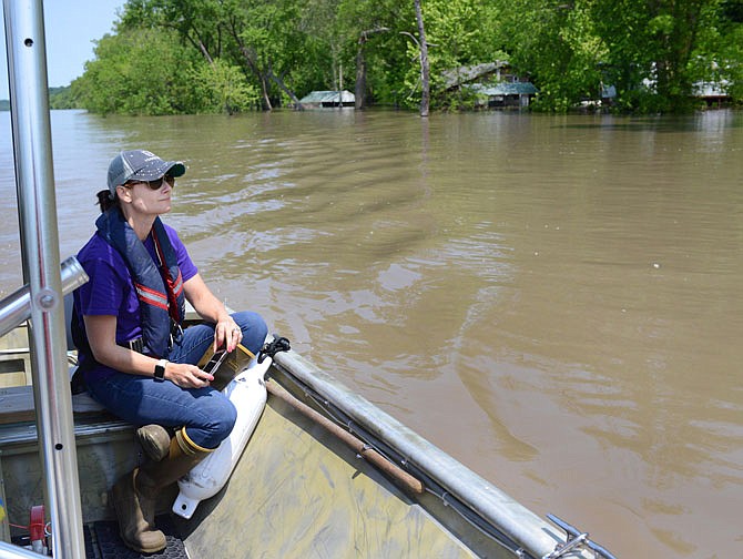 Osage County Emergency Management Director Andrea Rice observes flood damage Friday along the Missouri River in Chamois. The rising water has already reached several homes along the river. 
